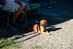 trofeo-corti-26-117